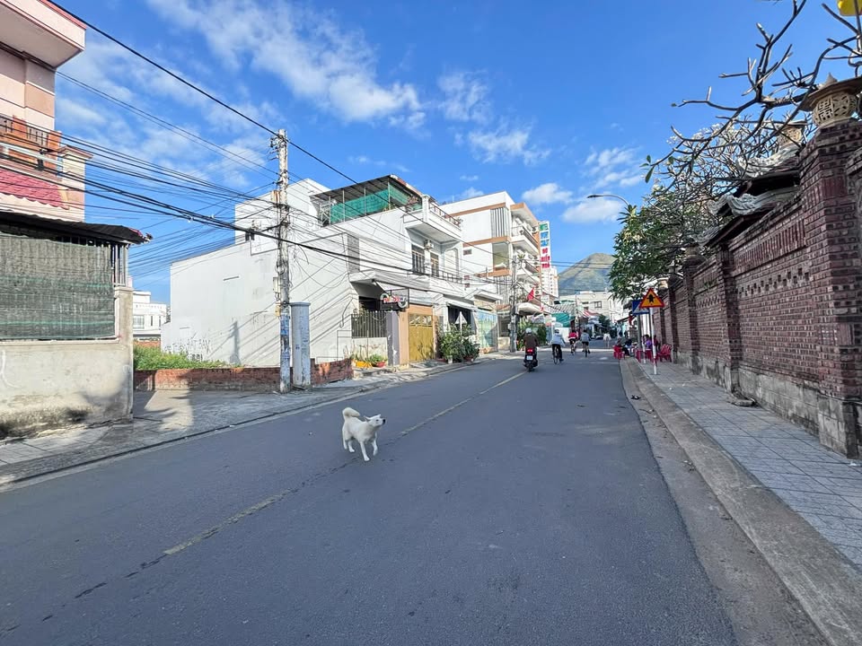 Đất Mặt Tiền đường Phú Đức, Nha Trang 43m² giá 3.9 tỷ - Vị trí đắc địa gần biển!