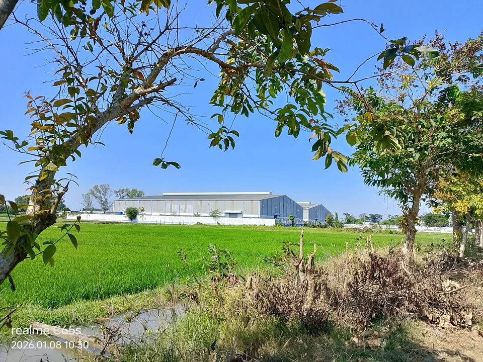 Nhà xưởng cho thuê tại Củ Chi 4000m² giá 200 triệu/tháng - Khu vực phát triển mạnh mẽ!