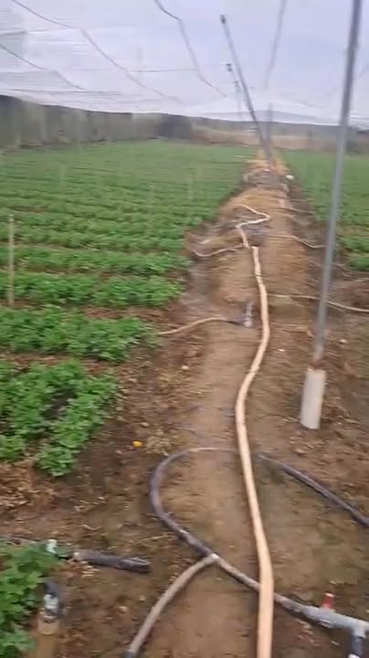 Đất nông nghiệp 4.5 sào xã Ka Đô giá 1.65 tỷ - Cần bán gấp!