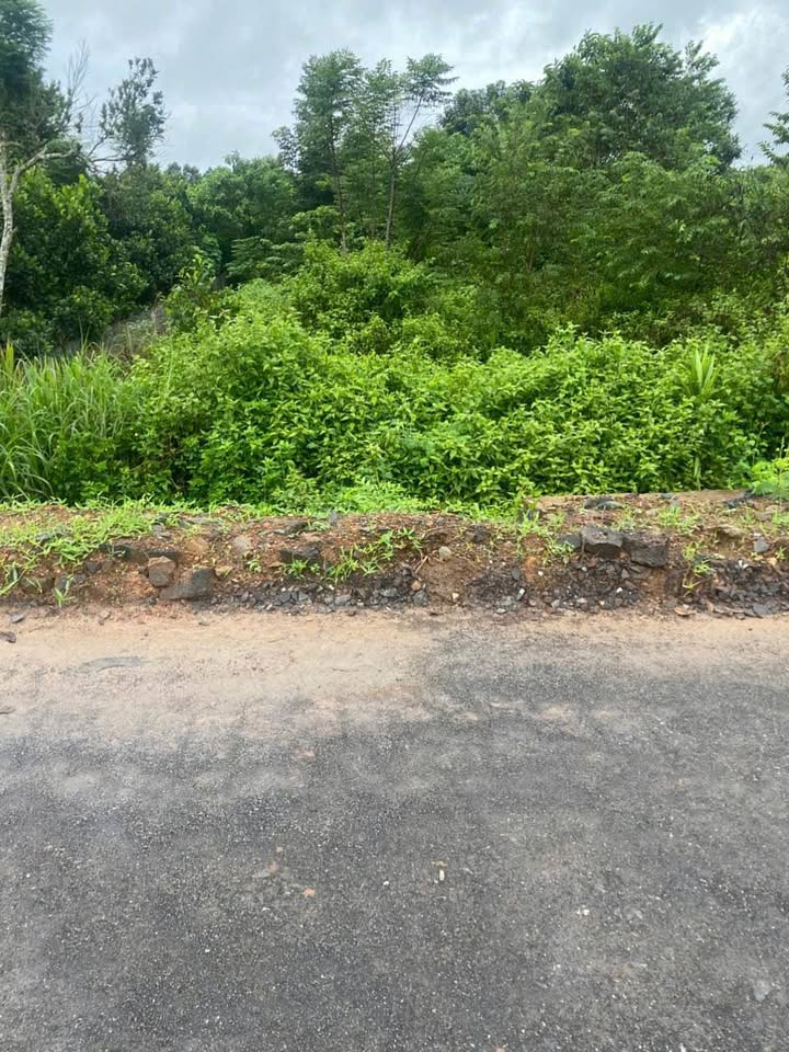 Đất thổ cư 195m² mặt tiền đường HL120 xã Phú Vinh - Giá 550 triệu, sổ hồng riêng!