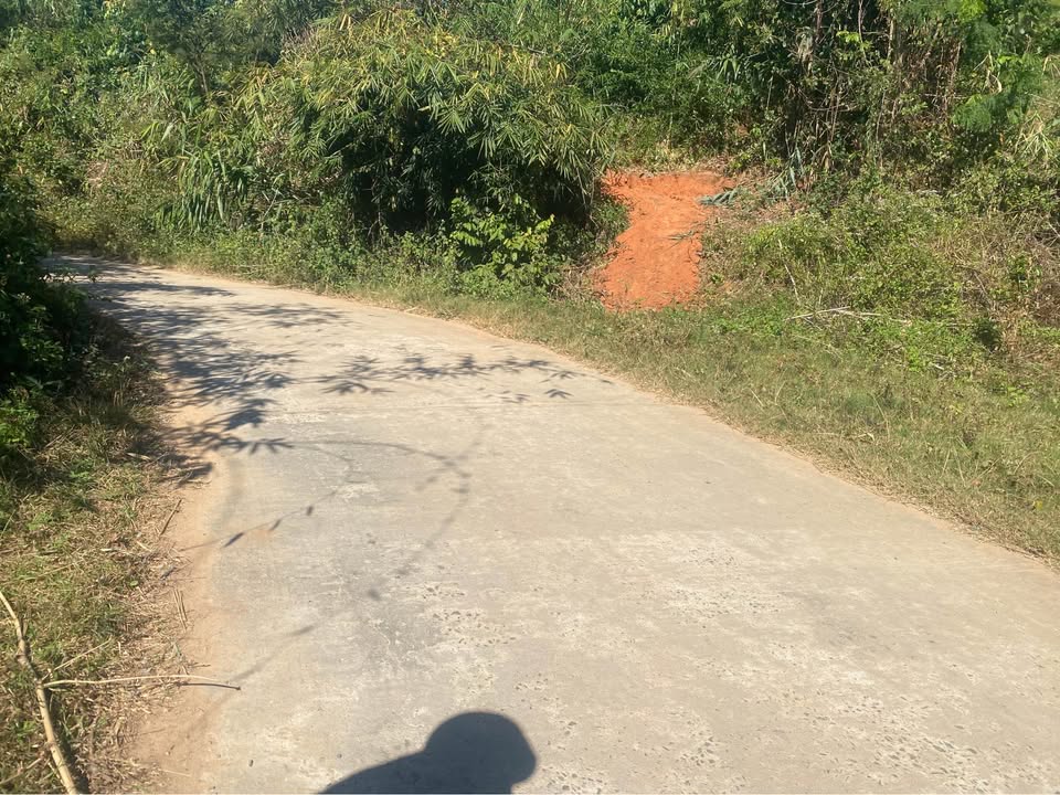 Đất nền Đạ Tông, Đam Rông 10.000m² giá 700 triệu - Sổ đỏ chính chủ, đất bằng phẳng!