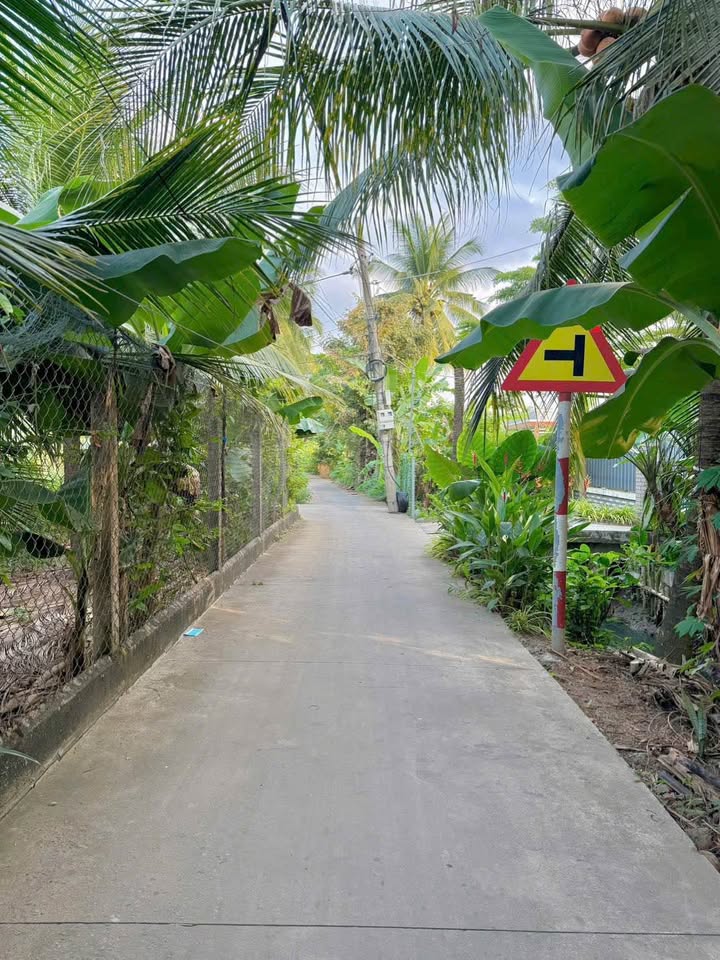 Đất nền Mỹ Hưng, Lấp Vò 90m² - Giá tốt, thổ cư sẵn!