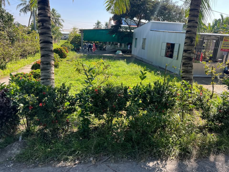 Đất nền xã Long An, Long Hồ, Vĩnh Long 115m² giá chỉ 260 triệu - Cơ hội đầu tư hấp dẫn!