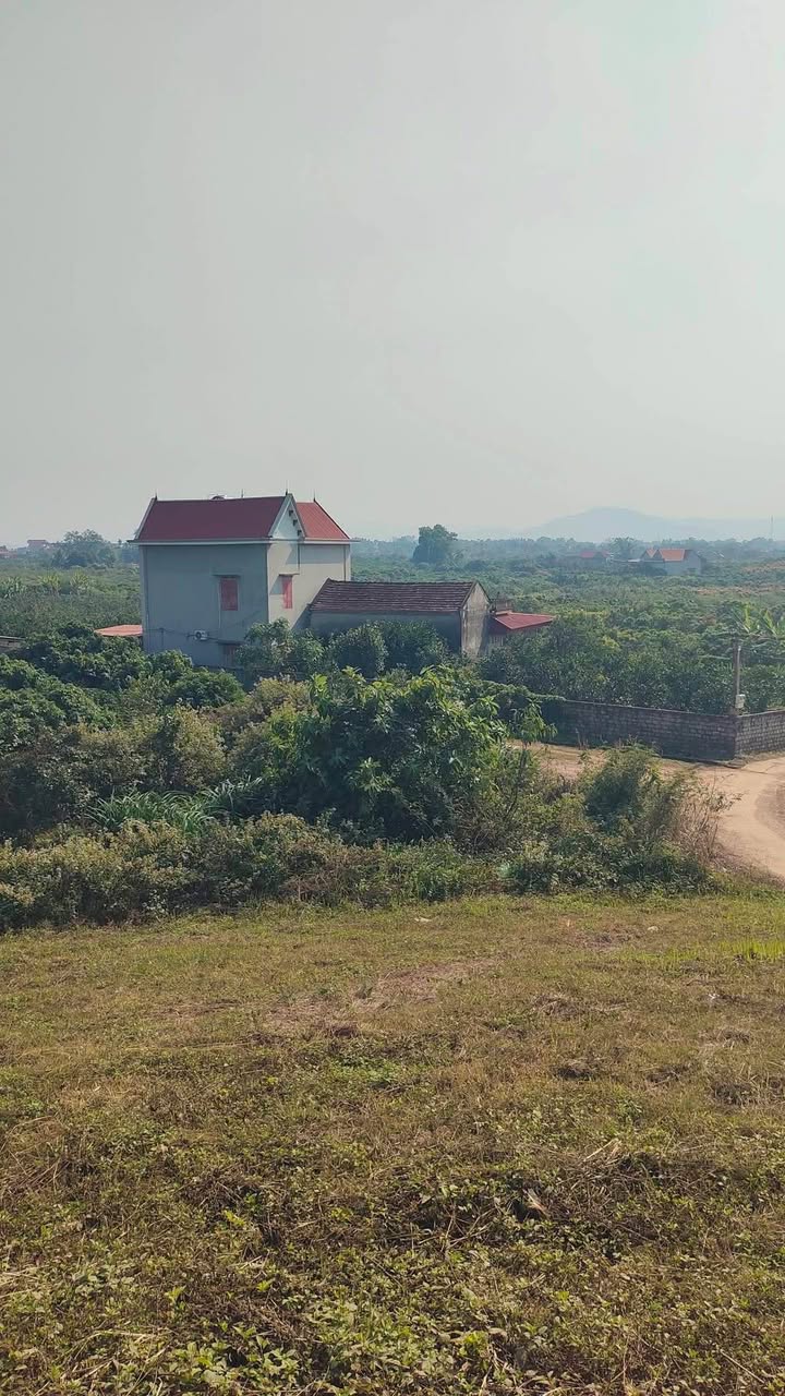 Đất vườn Phường Chũ Bắc Ninh 20,000m² giá 2.5 tỷ - Cơ hội đầu tư nghỉ dưỡng tuyệt vời!