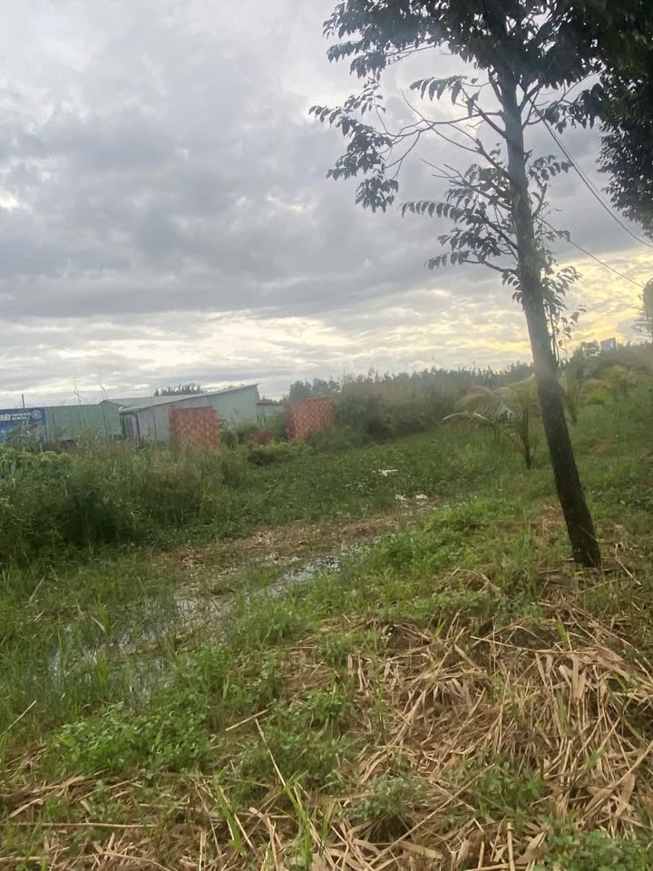 Đất Long Trường - TP. Thủ Đức 9.780m² giá 117.36 tỷ - Pháp lý rõ ràng, cơ hội đầu tư hiếm có!