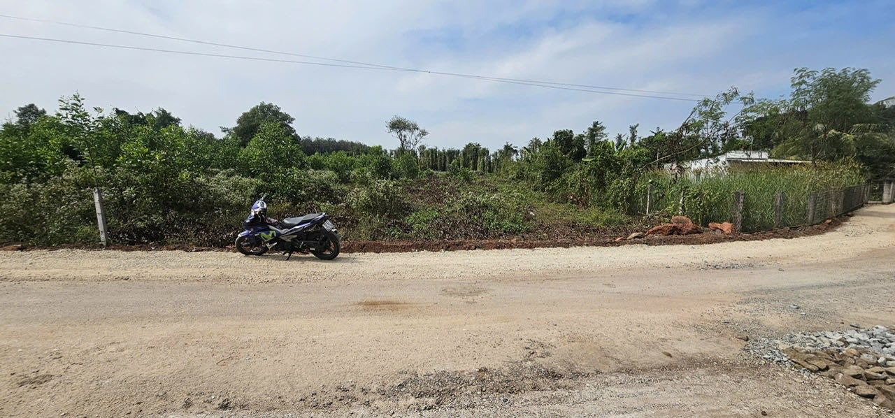 Đất nền 2.434m² xã Đá Bạc, Châu Đức - Giá hời chỉ 3.3 tỷ!