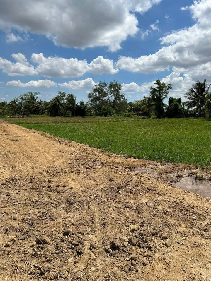 Đất cây lâu năm 1.2 sào tại Thôn Bình An, giá 650 triệu - Thích hợp xây nhà vườn!