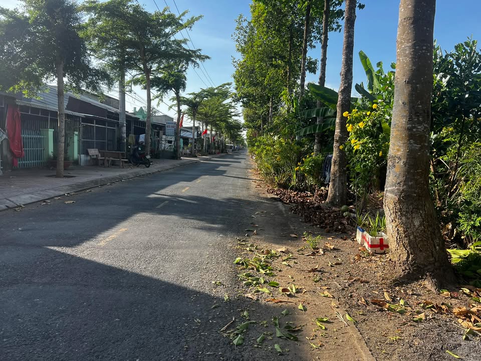 Đất vườn 4300m² xã Tân Phú, giá chỉ 1.815 tỷ - Cơ hội đầu tư hấp dẫn!