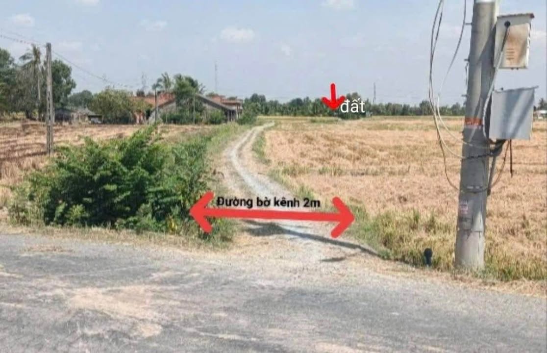 Đất nền xã Tân Trụ, Long An 600m² giá chỉ 480 triệu - Đầu tư sinh lời ngay!