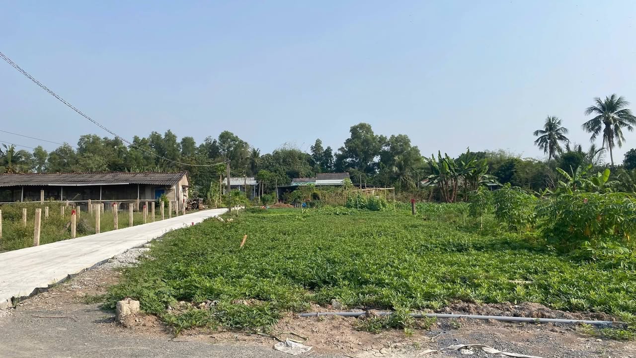 Đất nền góc Nguyễn Thị Tầm, Bình Lãng, Tân Trụ 166.6m² - Giá chỉ 489 triệu!