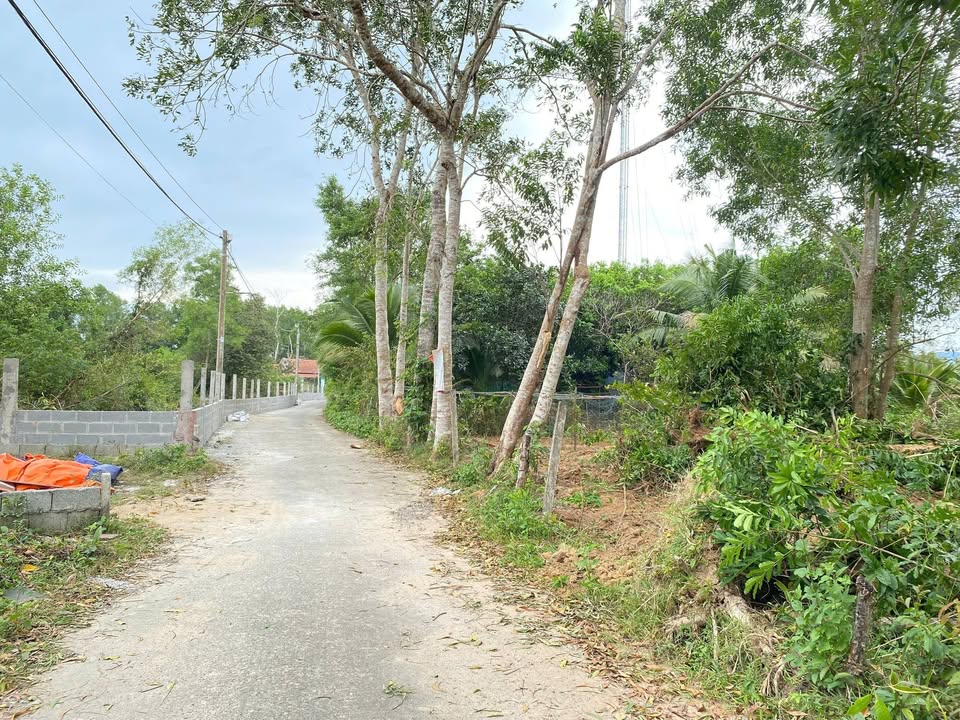 Đất nền 112m² tại xóm Cây Thông, Phú Quốc - Giá chỉ 1 tỷ, pháp lý rõ ràng!