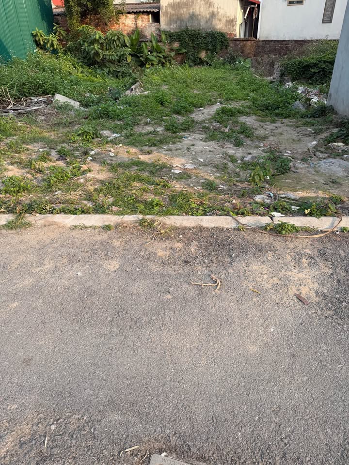 Đất nền Ngọc Động, Gia Lâm, Hà Nội 60m² giá hơn 4 tỷ - Sổ đỏ chính chủ sẵn sàng giao dịch!