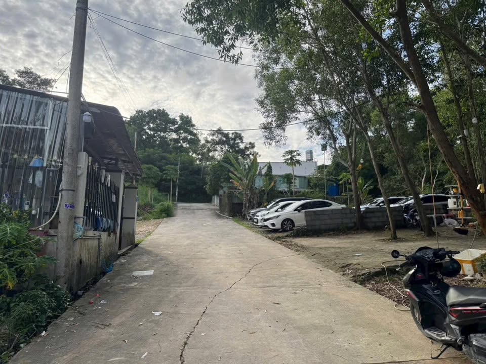 Đất nền Suối Mây Phú Quốc 126m² giá 1.3 tỷ - Tiềm năng đầu tư cao!