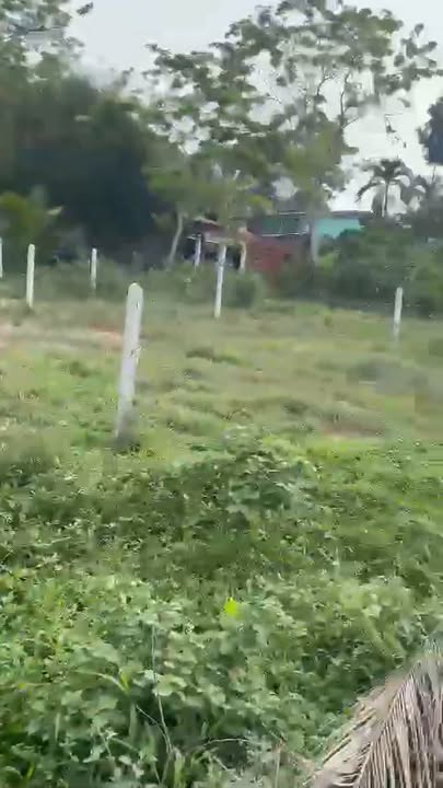 Đất nền An Hòa Trảng Bàng 310m² giá 950 triệu - Sổ đỏ chính chủ, mặt tiền đường nhựa!