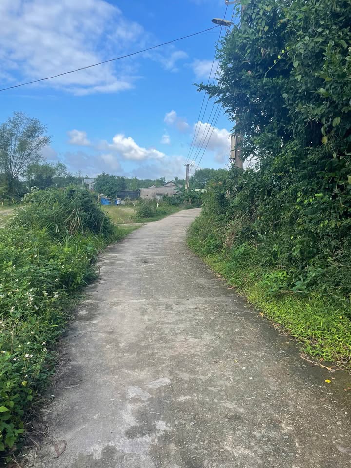 Đất thổ cư Thị trấn Phú Thịnh 104m² giá 600 triệu - Cơ hội đầu tư vàng!