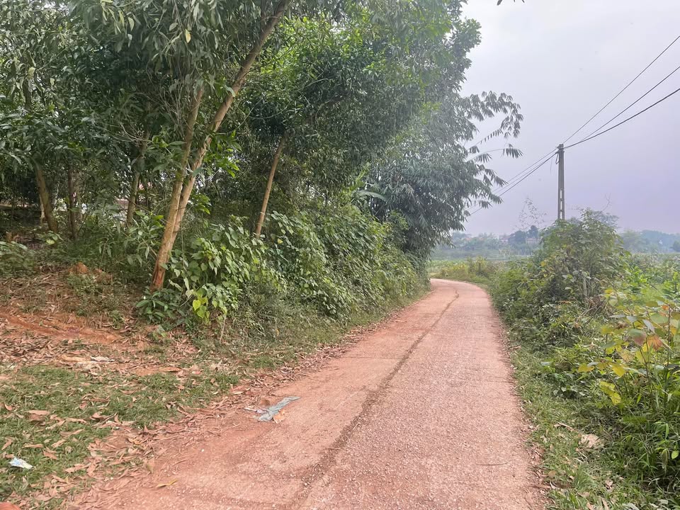 Đất thổ cư 600m² tại xã Tân Hòa, huyện Phú Bình - Giá cả thương lượng hấp dẫn!