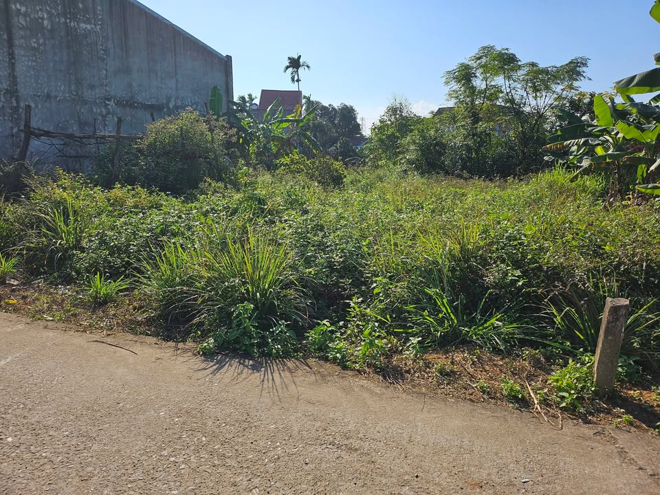 Đất Hòa Thọ Tây, Đà Nẵng 100m² giá 1.8 tỷ - Chính chủ bán gấp!