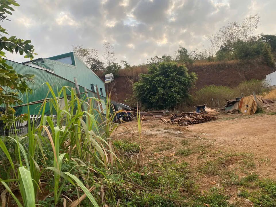 Đất nền Đạo Nghĩa, Đắk Nông 315m² giá 950 triệu - Vị trí siêu đẹp, đầu tư sinh lời!