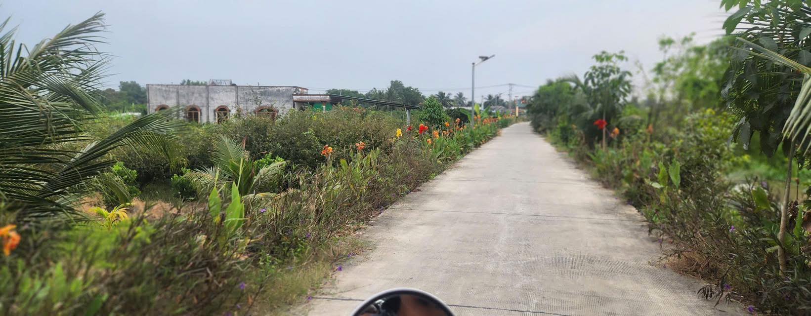 Đất nền mặt tiền Đan – Rạch Gõ Thạnh Hòa 1.100m² giá 1.15 tỷ - Tiềm năng sinh lời cao!