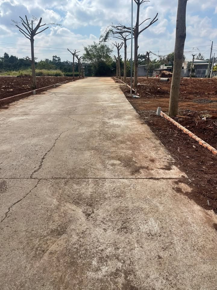 Đất hẻm Mậu Thân, Tân An, 125m² chỉ 1 tỷ - Đầu tư sinh lời hấp dẫn!