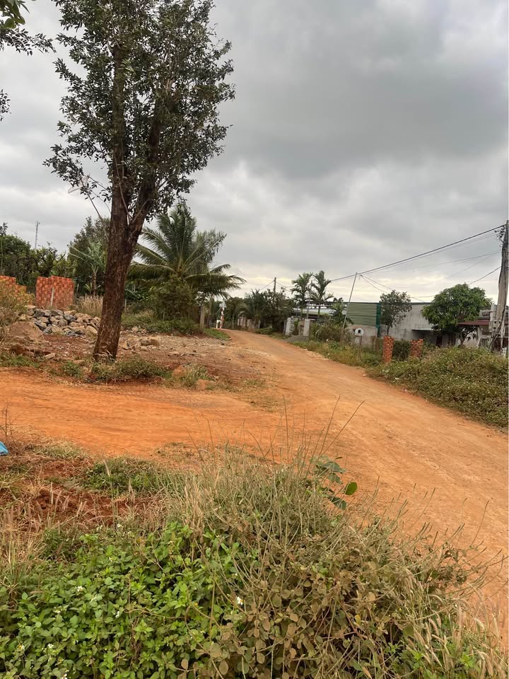 Bán gấp FrontHouse tdp8 Cư Ê Bur 125m² giá chỉ 8xx triệu - Đầu tư sinh lời!