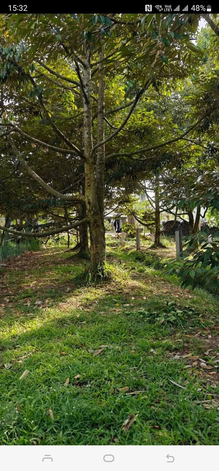 Đất nền Trường Long, Cần Thơ 167m² giá 7xx triệu - Đầu tư sinh lời ngay!