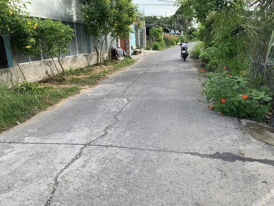 Đất vườn 1200m² tại Huyện Bình Chánh - Gần cao tốc Trung Lương, thích hợp đầu tư!