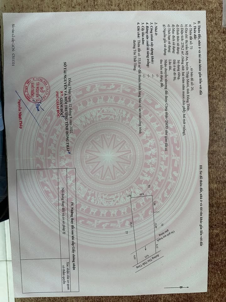 Đất nền Tôn Thất Tùng, Thị trấn Mỹ An 270m² - Hướng Tây Bắc, Sổ hồng riêng!