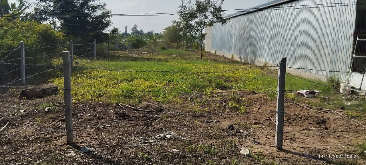 Đất nền đẹp tại xã Phương Thịnh, Huyện Cao Lãnh, 1000m² - Giá chỉ 1.2 tỷ, thương lượng ngay!