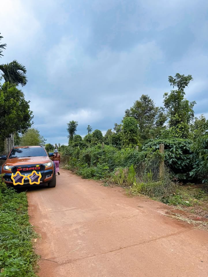 Đất nền xã Ea Tóh, huyện Krông Năng 180m² - Cơ hội đầu tư hiếm có!