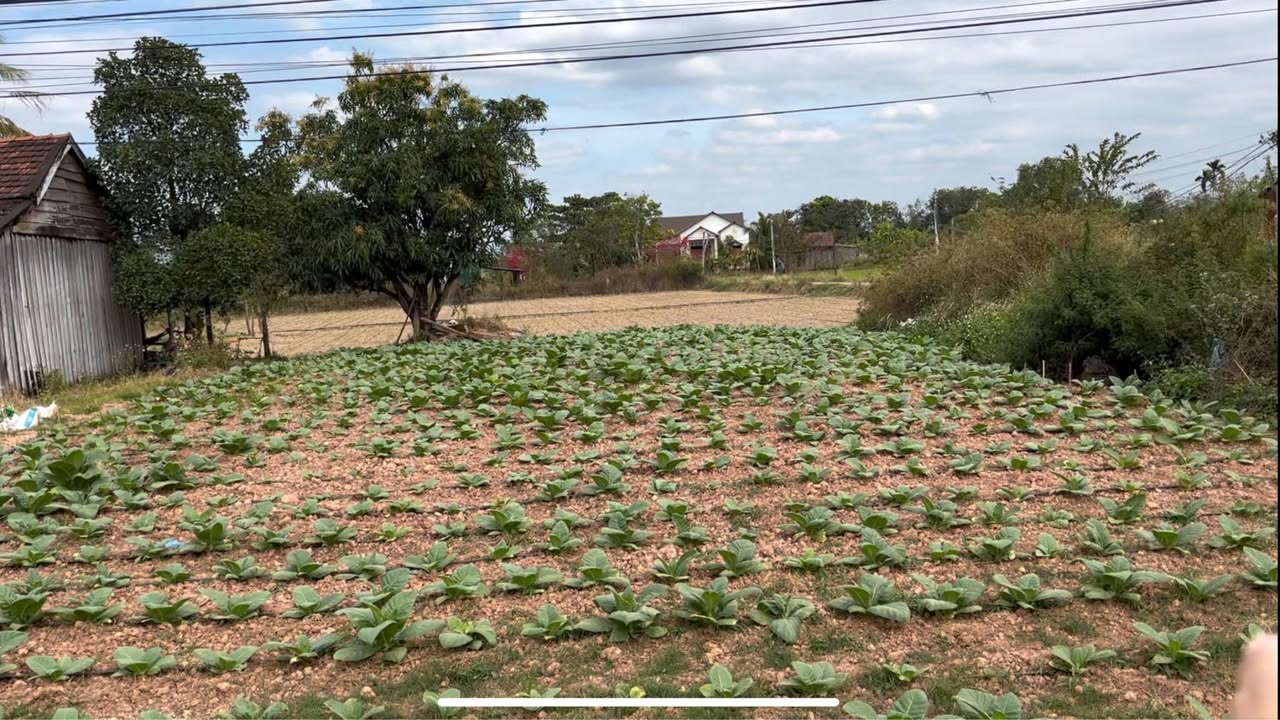 Đất nền mặt tiền đường Ea Rôk, 420m² giá 980 triệu - Kinh doanh thuận lợi!