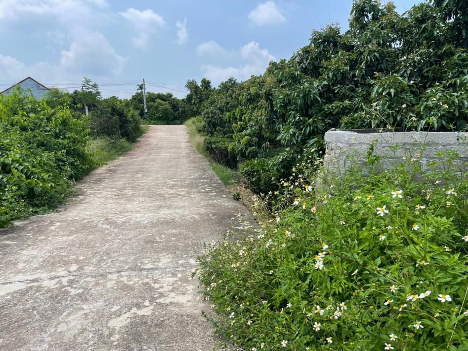 Mảnh vườn 3400m² tại Yên Phong, Bắc Ninh - Đất thổ cư 160m², giá thỏa thuận