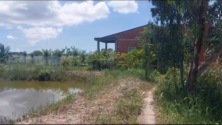 Đất nền An Thuận 36,000m² giá 110 triệu/công - Cơ hội đầu tư sinh lời!