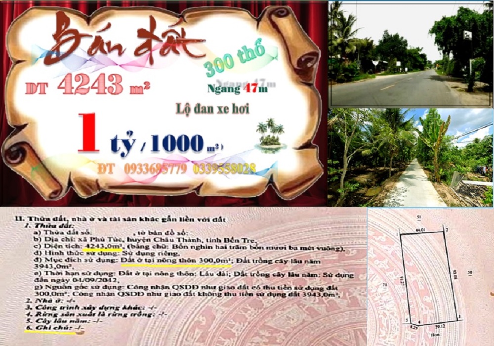 Đất nền Phú Túc, Châu Thành, Bến Tre 4243m² giá 4.5 tỷ - Cơ hội đầu tư lý tưởng!