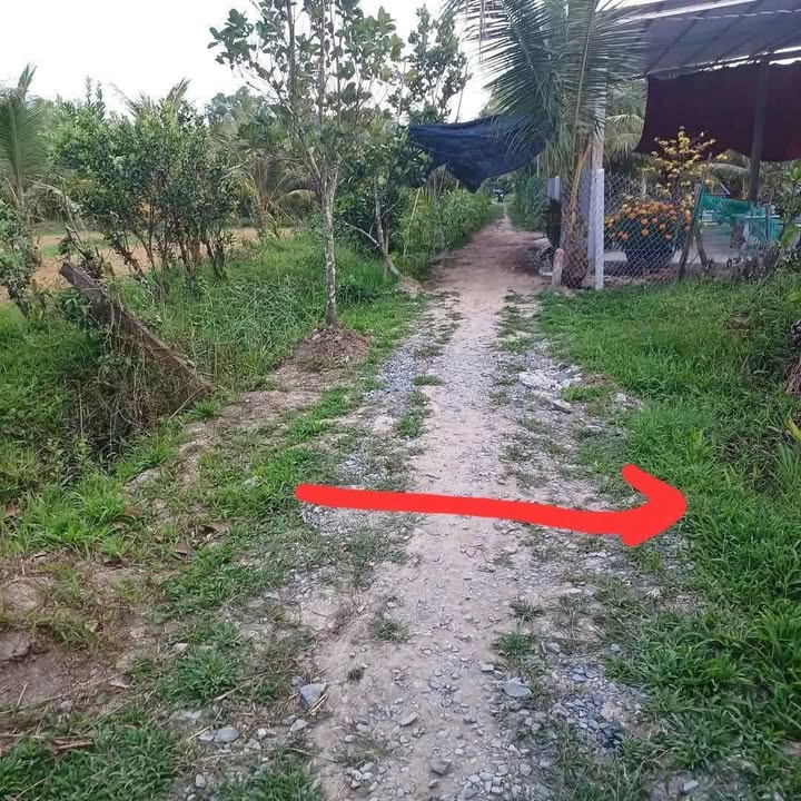 Đất nền 500m² Tân Phú Tây - Mỏ Cày Bắc, Bến Tre chỉ 270 triệu - Cơ hội đầu tư hấp dẫn!