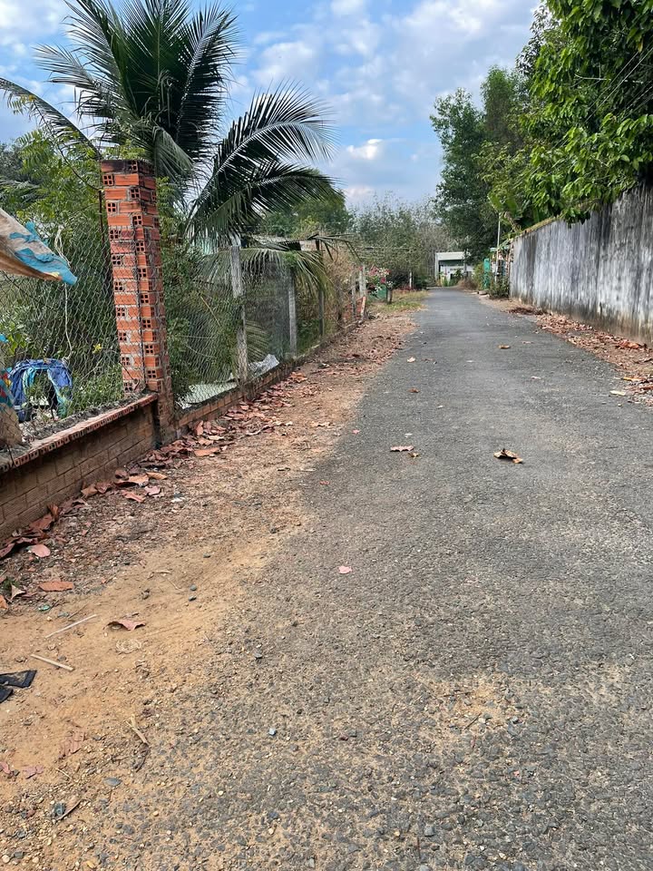 Đất Thạnh Lợi, Bến Lức 400m² - Bán gấp, khu dân cư đông đúc!