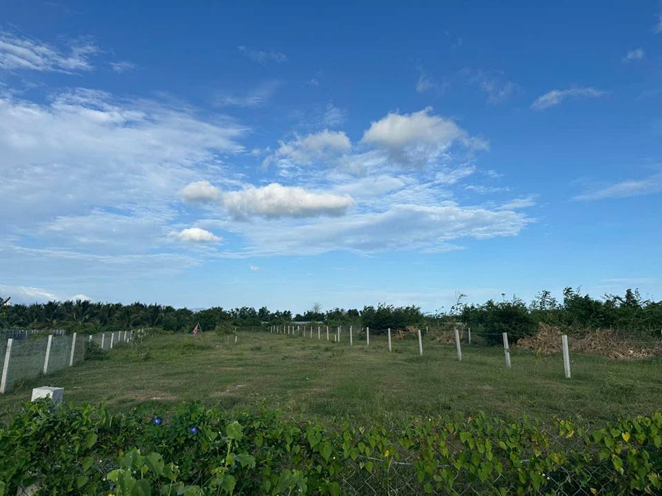 Đất nền Hòa Thạnh 1000m² giá 680 triệu - Gần đê, ô tô vào tận nơi!