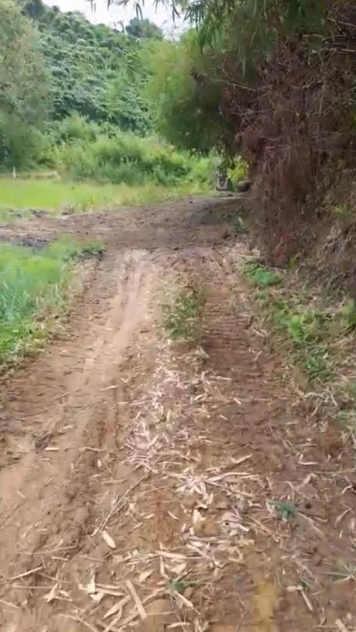 Farm 1,4 hecta tại Tam Bố, Di Linh, Lâm Đồng giá 1,4 tỷ - Đầu tư sinh lời ngay!