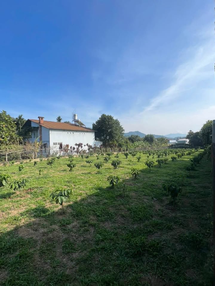 Đất mặt tiền đường Xuân Diệu, Bảo Lộc, 100m² giá 2.3 tỷ - Cơ hội không thể bỏ lỡ!