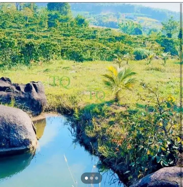 Đất nền B' Lá huyện Bảo Lâm 8200m² giá 3.28 tỷ - Cơ hội đầu tư tuyệt vời!