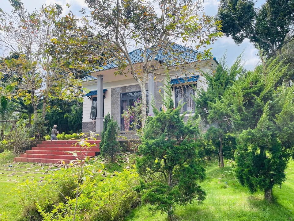 Nhà vườn nghỉ dưỡng 1507m² đường Hoài Thanh, Bảo Lộc - Giá chỉ 5.1 tỷ thương lượng!