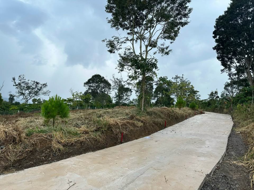 Đất nền 149m² tại Lộc Nam, Bảo Lâm - Giá chỉ 750 triệu, sổ đỏ chính chủ!