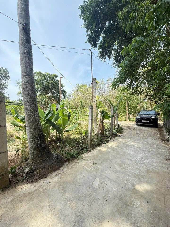 Đất nền lô góc 2 mặt tiền tại Bình Long, Phù Mỹ 200m² chỉ 199 triệu - Cơ hội đầu tư không thể bỏ lỡ!