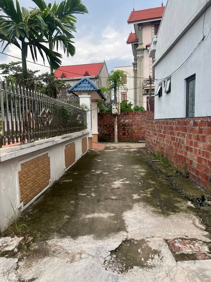 Đất nền Dương Quan, Hải Phòng 50.3m² chỉ 1.8 tỷ - Đầu tư sinh lời cao!