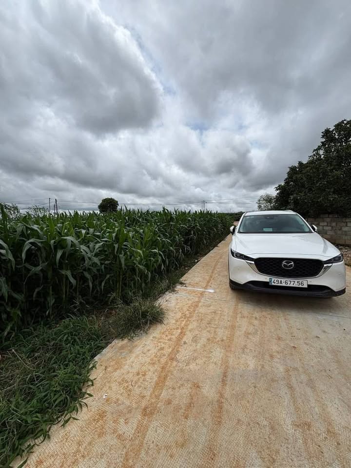 Đất thổ cư Liên Hiệp, Đức Trọng 115m² giá 1.05 tỷ - Vị trí đẹp, gần sân bay!