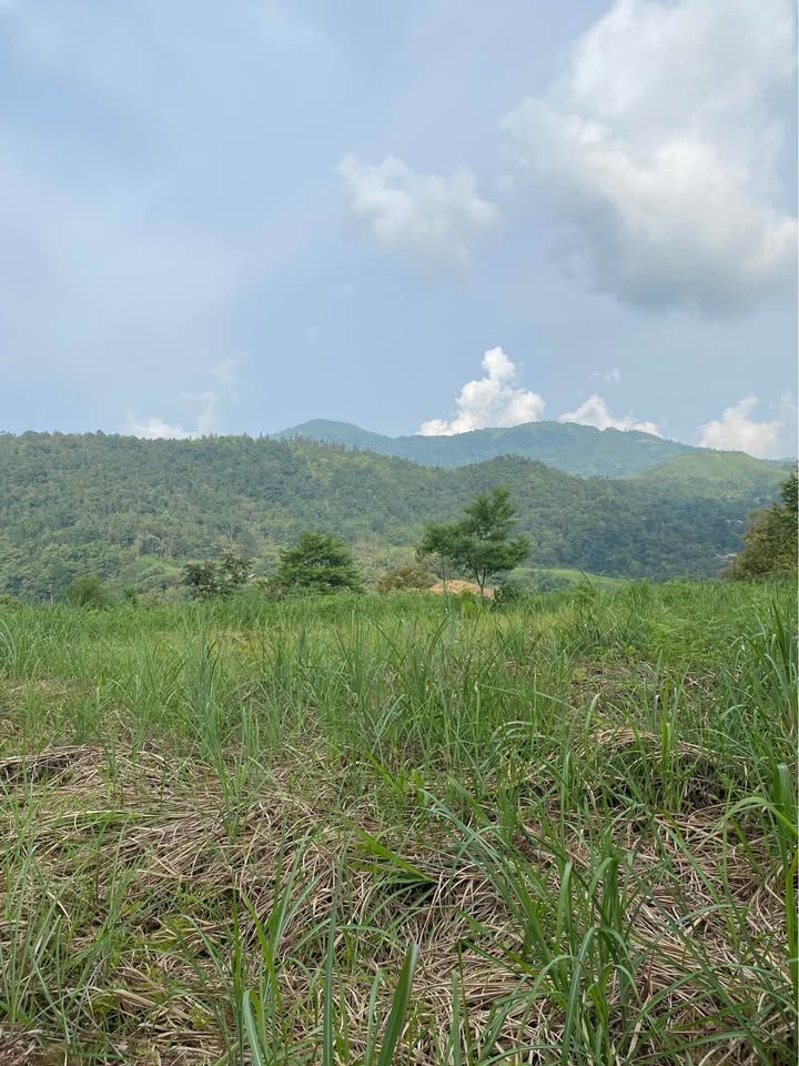 Đất nền Tả Phìn, Sapa 4100m² giá thỏa thuận - View thung lũng tuyệt đẹp!