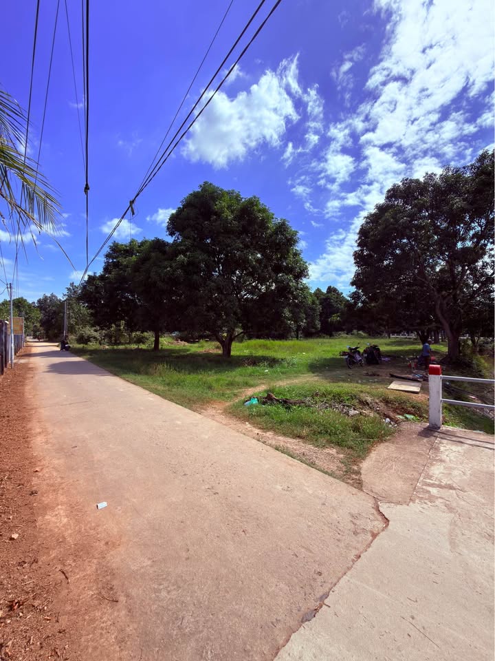 Lô đất vườn Diên Phước 1131m² giá 4.52 tỷ - Vị trí đẹp, tiện ích đầy đủ!