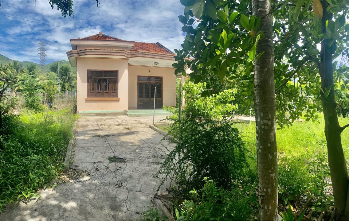 Đất nền chính chủ tại xã Vĩnh Phương, Nha Trang 736m² giá 3 tỷ - Đầu tư sinh lời!