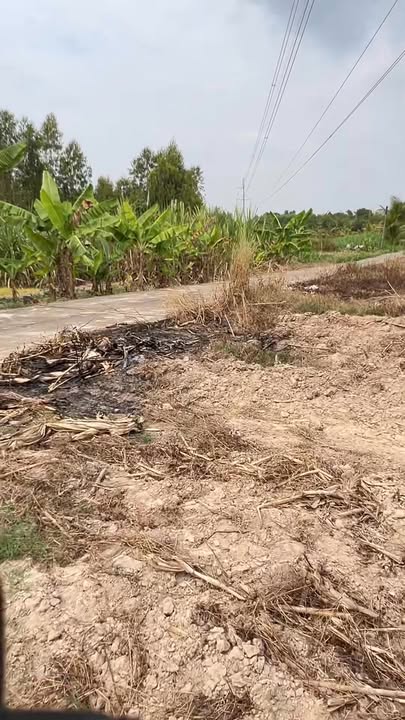 Đất nền Tân Hà 1873m² giá 1 tỷ - Cần bán gấp, thương lượng tốt!