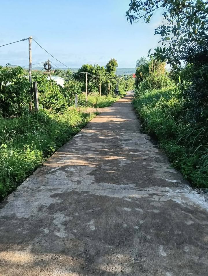 Đất nền xã Ea Hiao, huyện Ea H'leo 5670m² giá 155 triệu - Cơ hội đầu tư hấp dẫn!